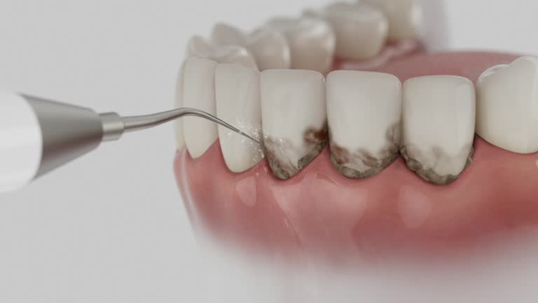 Reliable Dental contractor in Bonnie Brae, IL by Dentist Open Now
